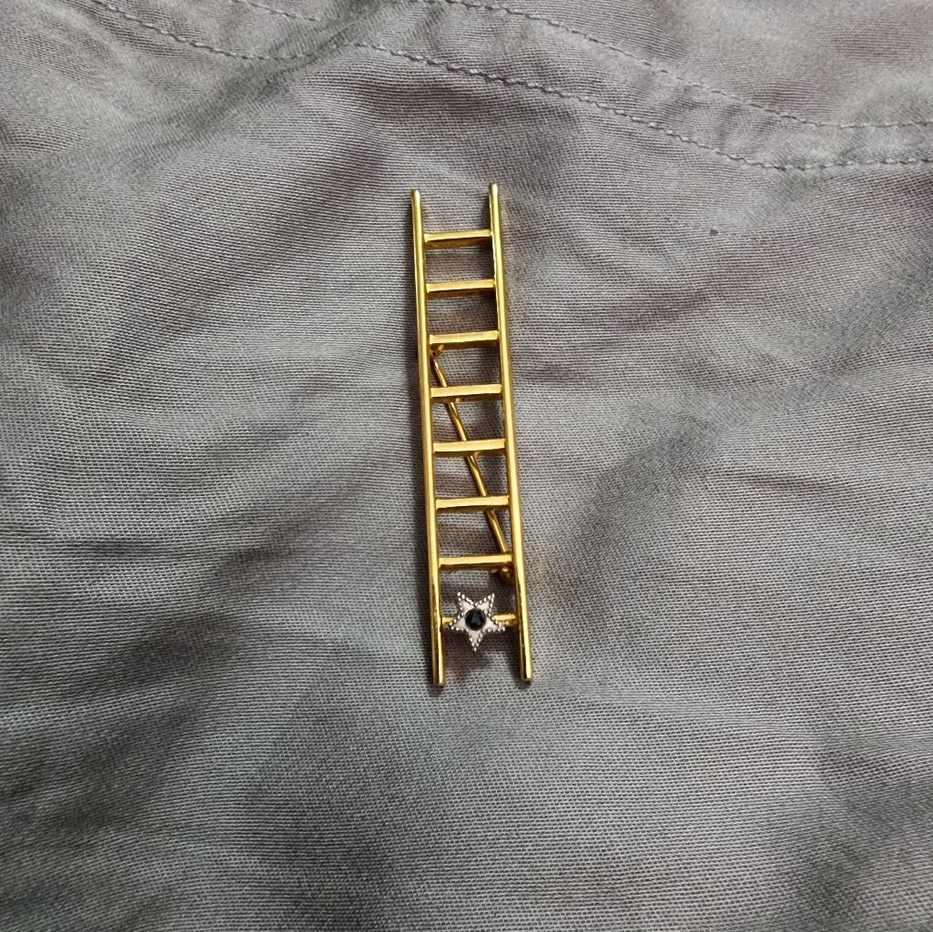 Vintage Mary Kay Success Ladder 15$